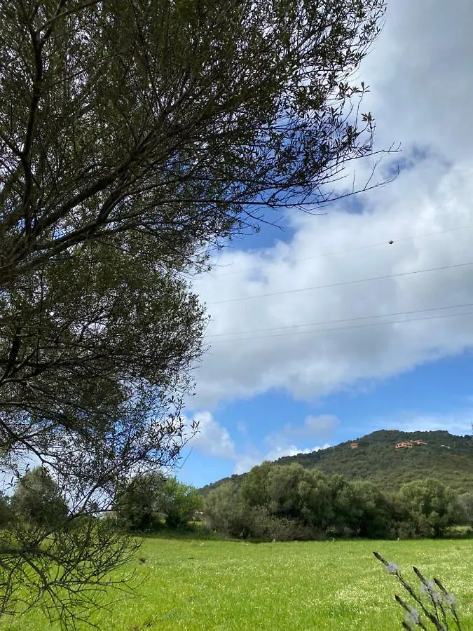 Appartamento Casa Vacanza Porta Smeralda Olbia Italia