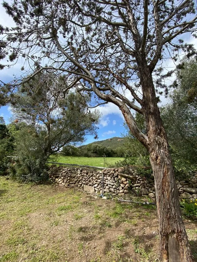 Casa Vacanza Porta Smeralda Olbia
