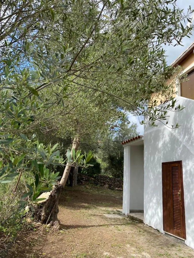 Casa Vacanza Porta Smeralda Olbia