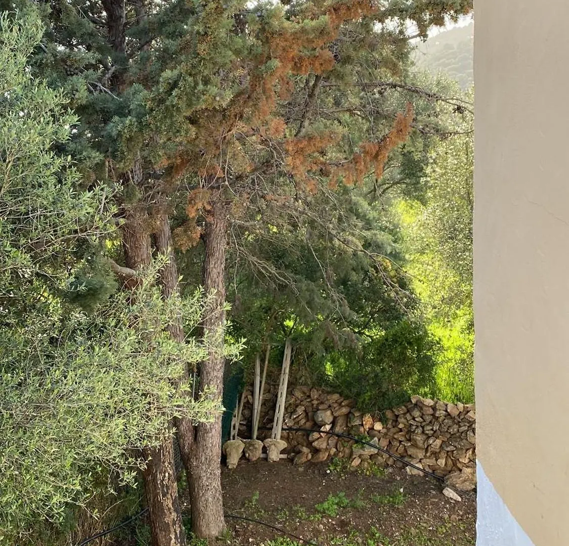 Casa Vacanza Porta Smeralda Olbia