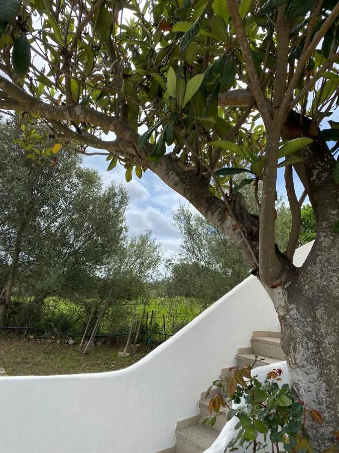 Casa Vacanza Porta Smeralda Olbia 0*,  Italy